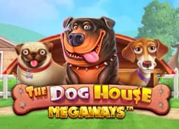 without-doctor: The Dog House Megaways
